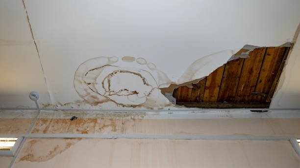 Persistent Interior Leaks Tigard or