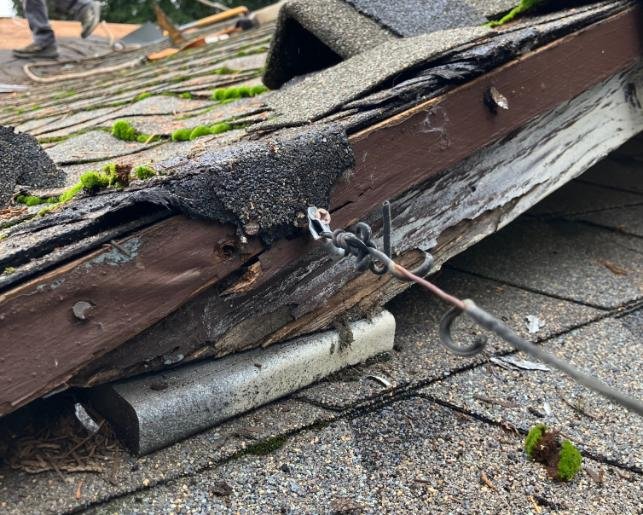 Close-up of roof decay with moss growth and deteriorated flashing