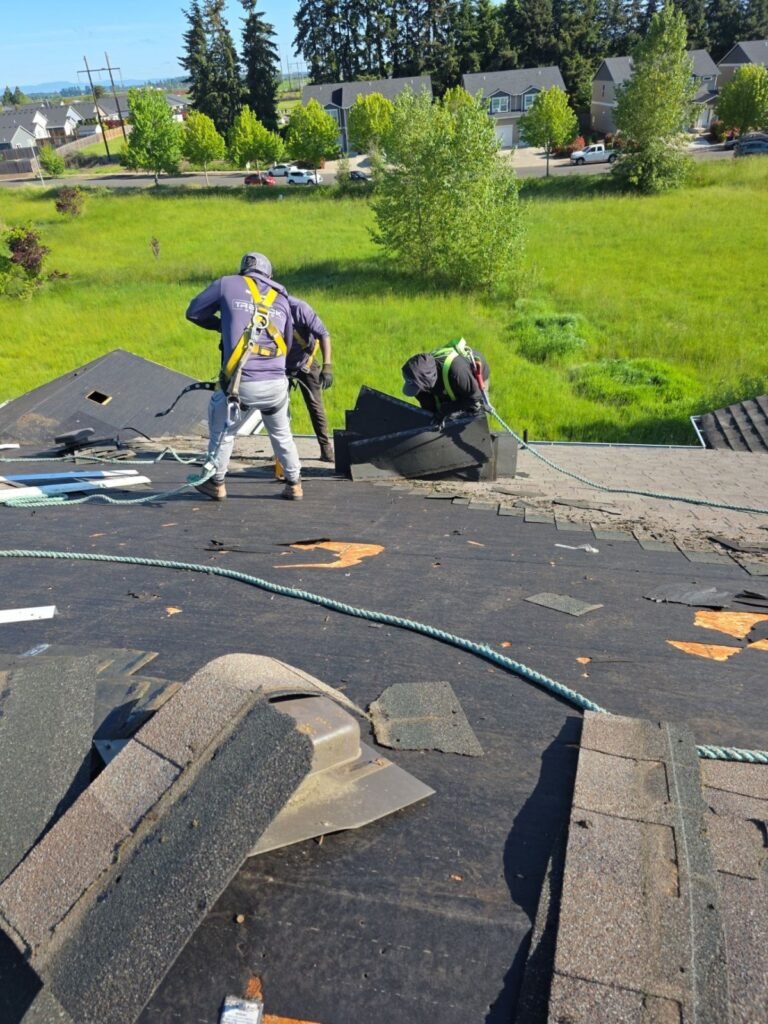 Roofers in safety harnesses tearing off old shingles during a roof replacement