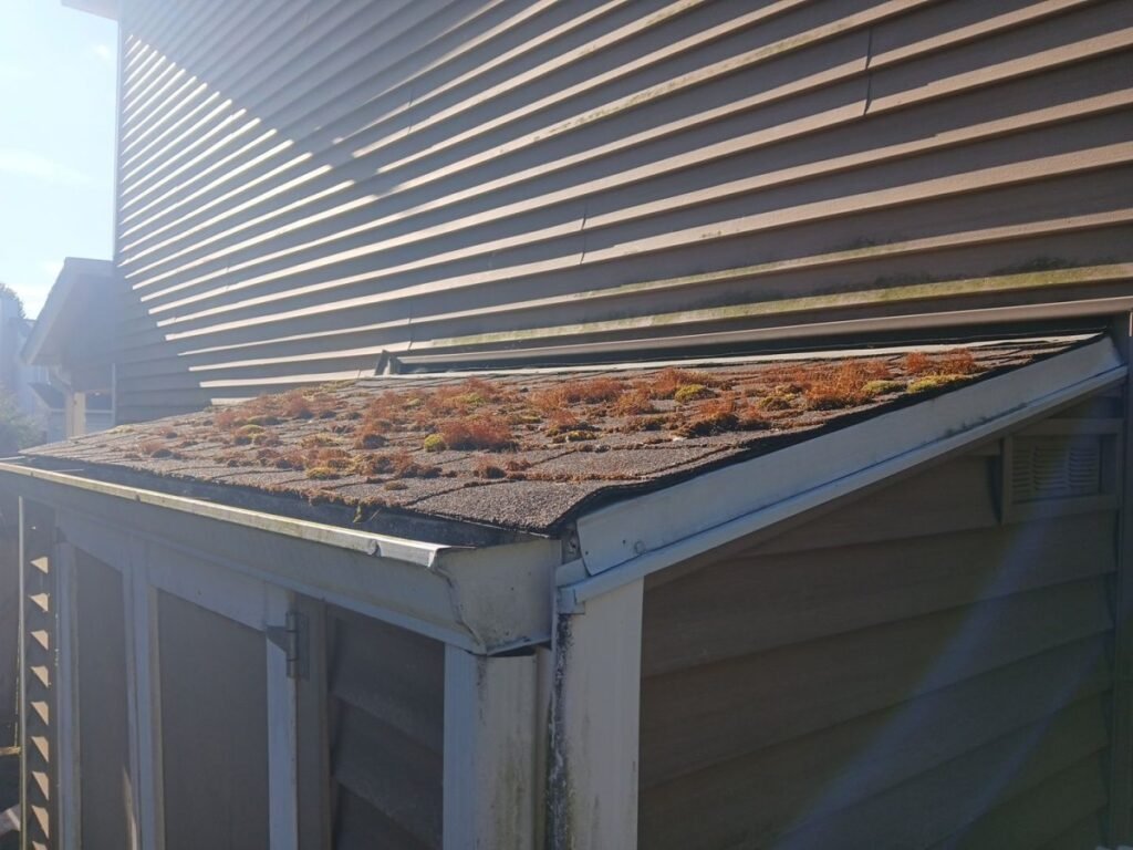Emergency Roofer Battle Ground WA: Rapid Response & Storm Damage Repair